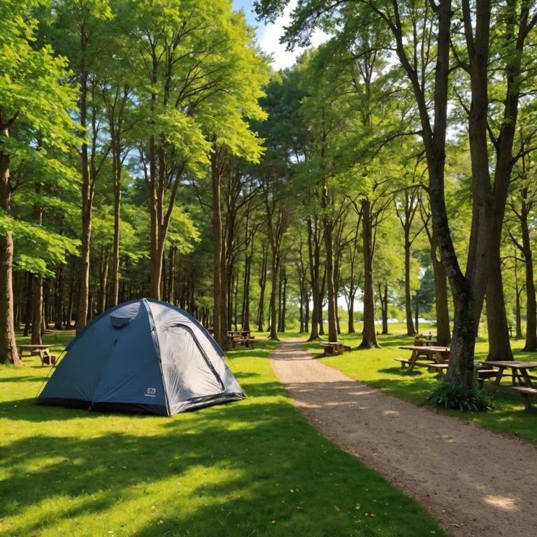 Découvrez les Meilleurs Campings 5 Étoiles en Bretagne pour un Séjour de Luxe en Plein Air