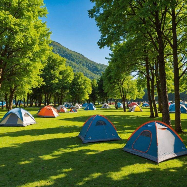 Guide Ultime 2024: Sélectionner le Meilleur Camping Club au Pays Basque | Camping Club Vacances